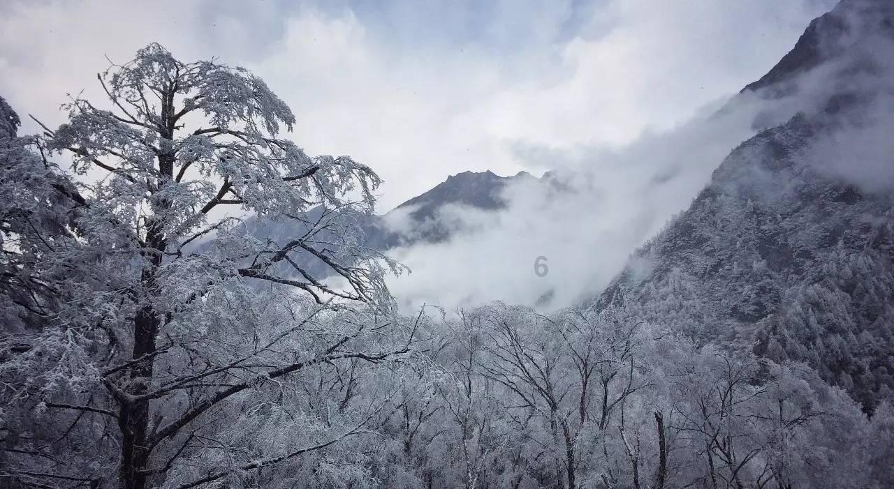 救援应届毕业生
